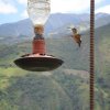 048_Ecuador_eine_Andenreise_ins_Hochland